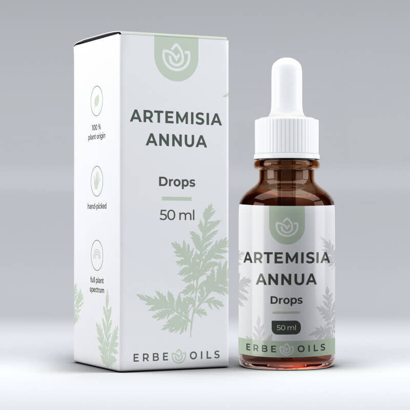 Sweet wormwood extract drops (Artemisia annua L.)